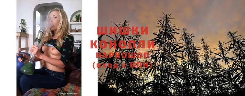 Марихуана THC 21%  где найти наркотики  Советский 